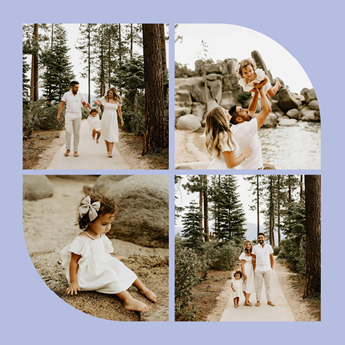 Organic Modern Calendar 12x12 undefined  Wall Calendar