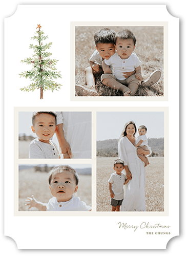 Simple Pine 5x7 White  Holiday Card
