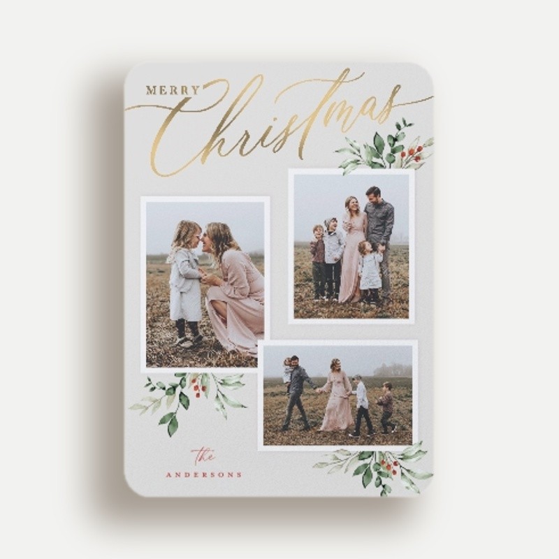 Script and Snapshots