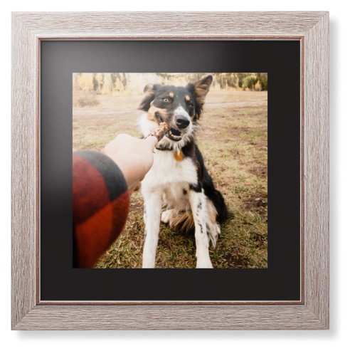 Pet Photo Gallery