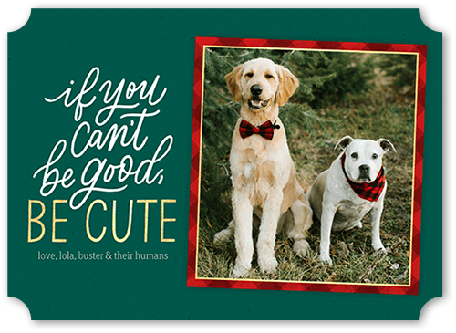 Framed Cute 5x7 Green  Holiday Card