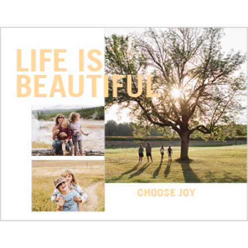 Everyday Bold Type 8x11 undefined  Premium Album