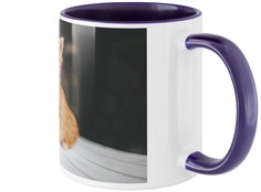 productImage-2