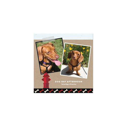 Four Legged Friends 12x12 undefined  Wall Calendar