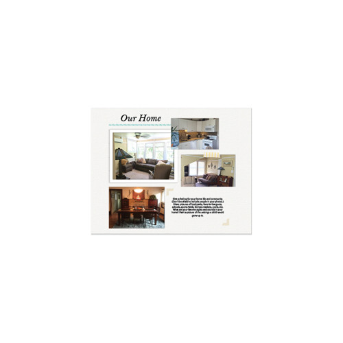 Adoption Portfolio 8x11 undefined  Premium Album