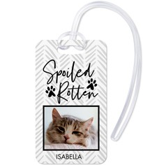 Playful Patterns Spoiled