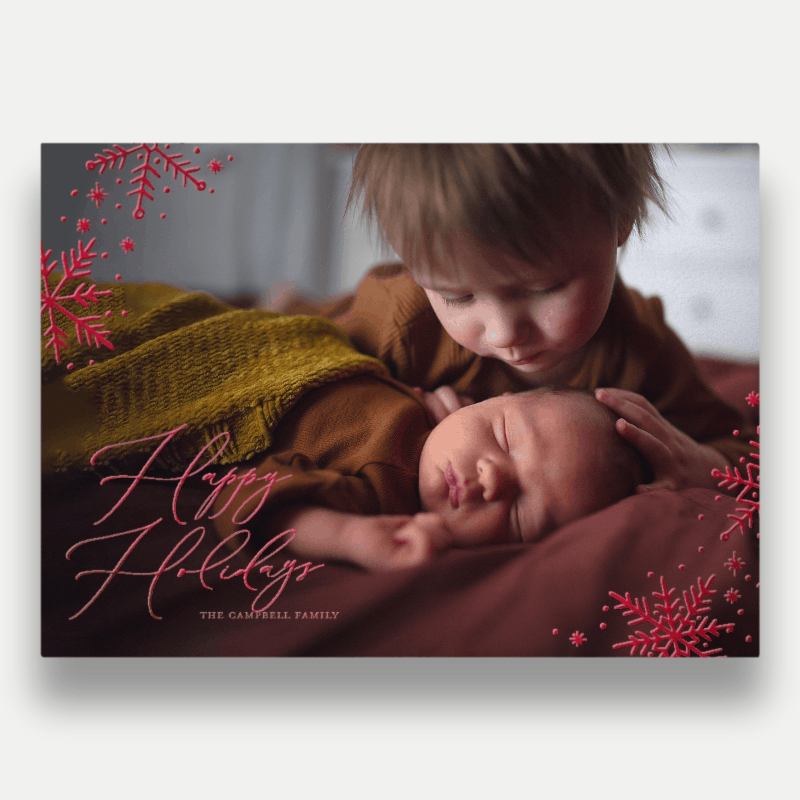 Delicate Flakes Holiday Card