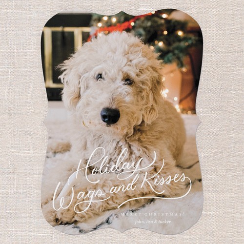 Wags and Wishes 5x7 White  Holiday Card
