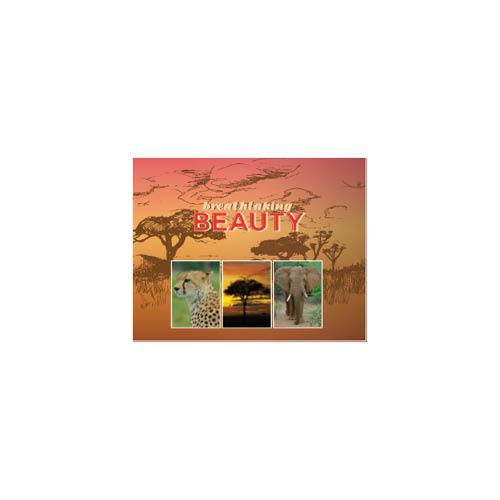 Passport to Africa 11x14 undefined  Premium Album