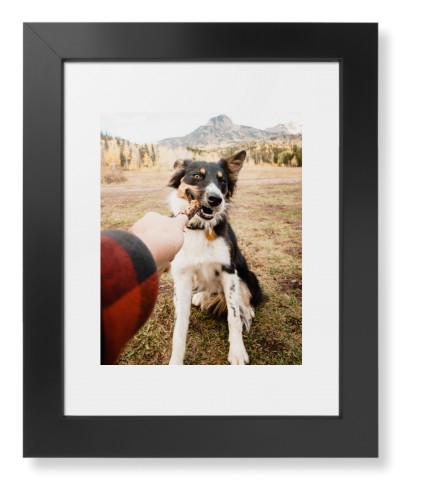 Pet Photo Gallery