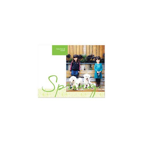 Our Family's Year 8x11 undefined  Photo Book