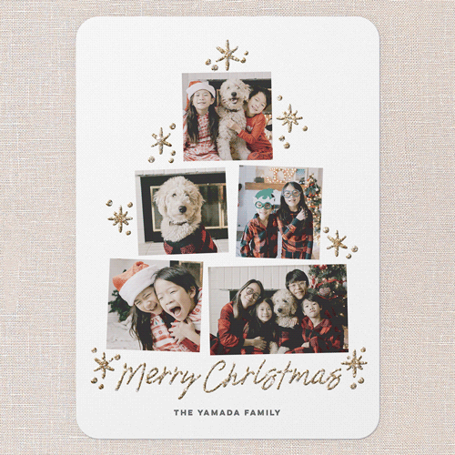 Tree Photo Layout