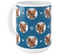 Floating Paws and Pets