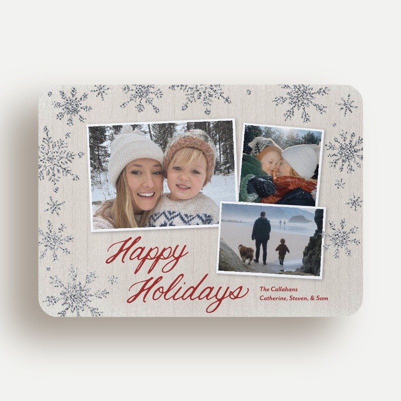 Snowflake Snapshots