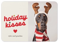 Festive Antler Wishes