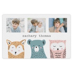 Adventure Animal Heads