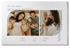 Favorite Infographic