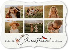 Bird and Holly Berry