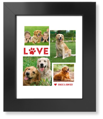 Pet Love