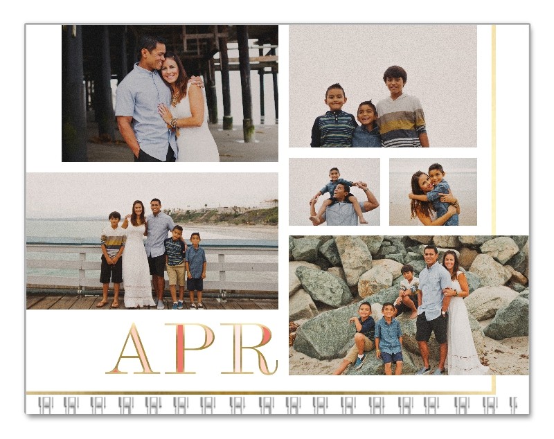 Gilded Jewel Tones 8x11 undefined  Wall Calendar