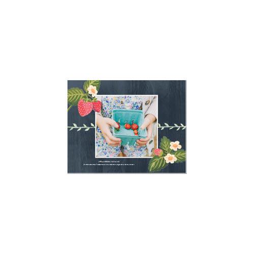 Painted Seasons 8x11 undefined  Photo Book