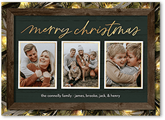 Rustic Evergreen Lights