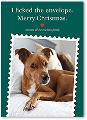 Festive Pet Stamp