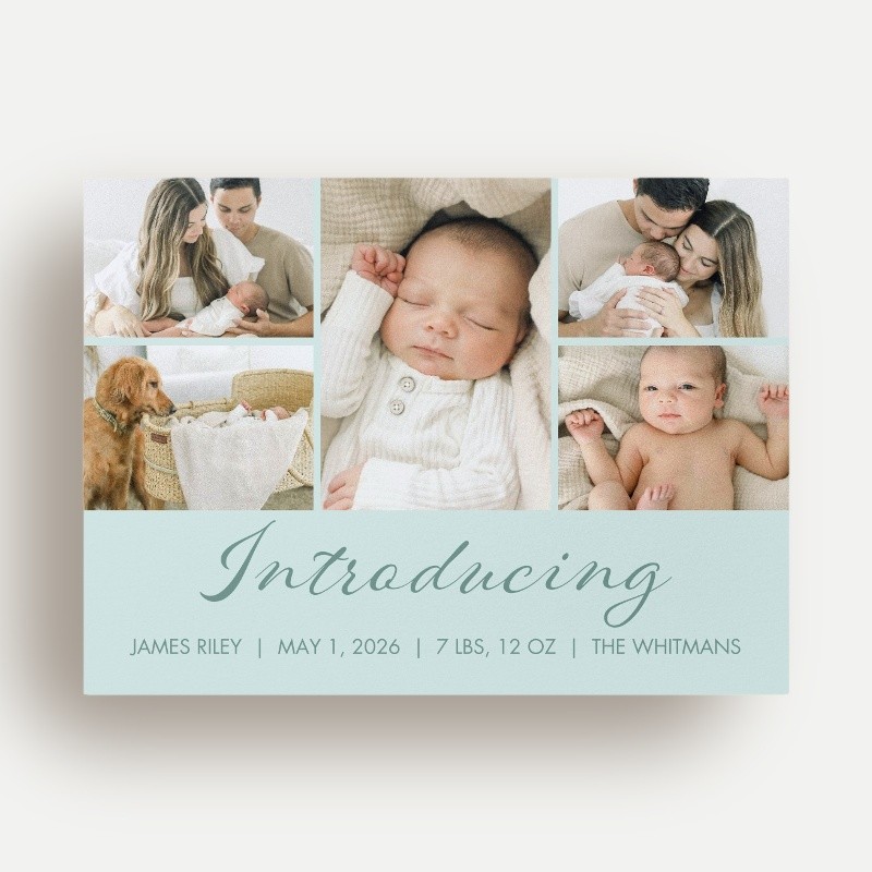 Softly Introducing Birth Announcement