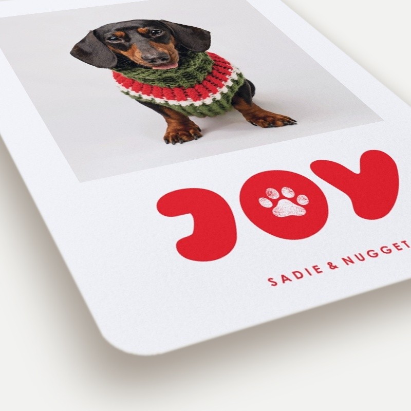 Paw Print Joy Holiday Card