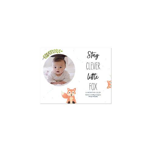 Woodland Baby 11x14 undefined  Premium Album