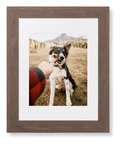 Pet Photo Gallery