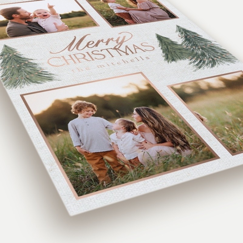 Elegant Pines Holiday Card