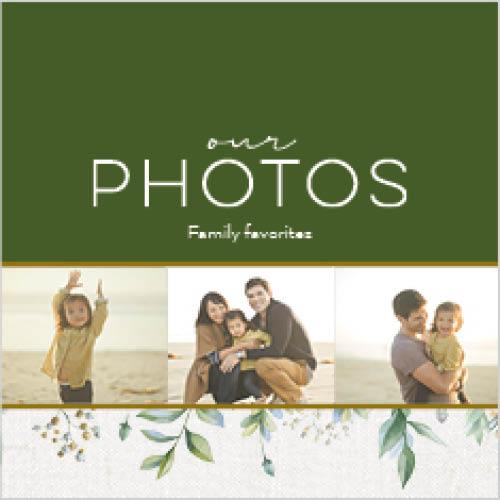 Classic Greenery 12x12 undefined  Premium Album