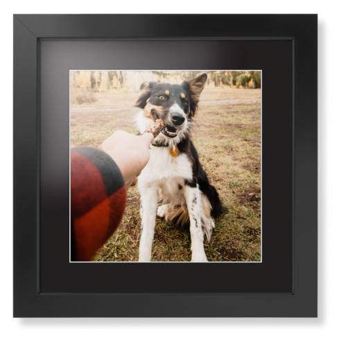 Pet Photo Gallery