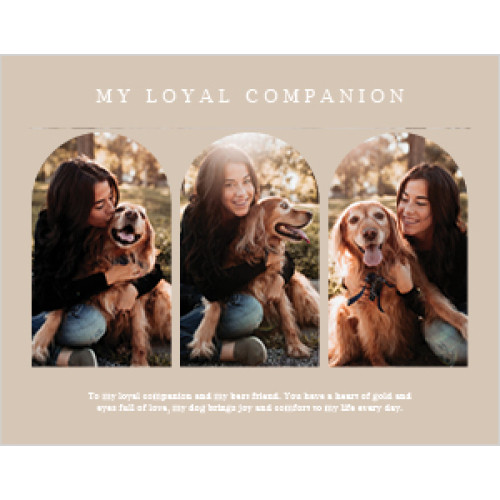 Organic Modern Calendar 8x11 undefined  Wall Calendar