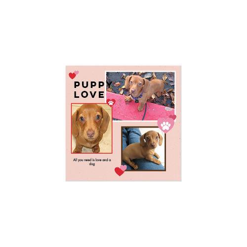 Four Legged Friends 12x12 undefined  Wall Calendar