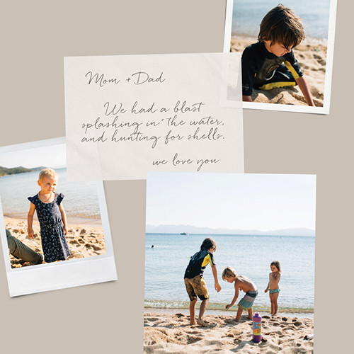 Snapshot Calendar 12x12 undefined  Wall Calendar