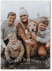 Snowfall Surroundings