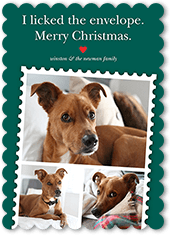 Festive Pet Stamp