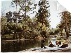 Photo Gallery Horizontal