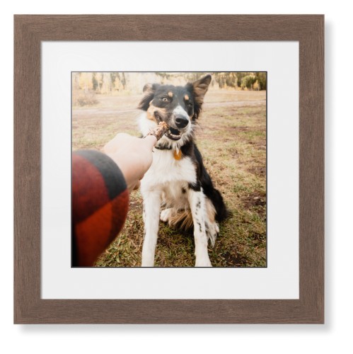 Pet Photo Gallery