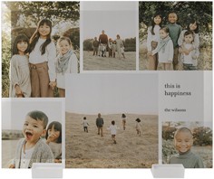 Neutral Gallery Of Six