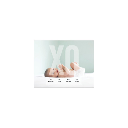 Baby's First Year 8x11 undefined  Premium Album