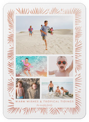 Tropical Tidings