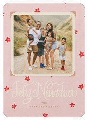Festive Poinsettia