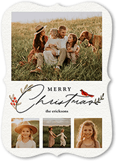 Bird and Holly Berry