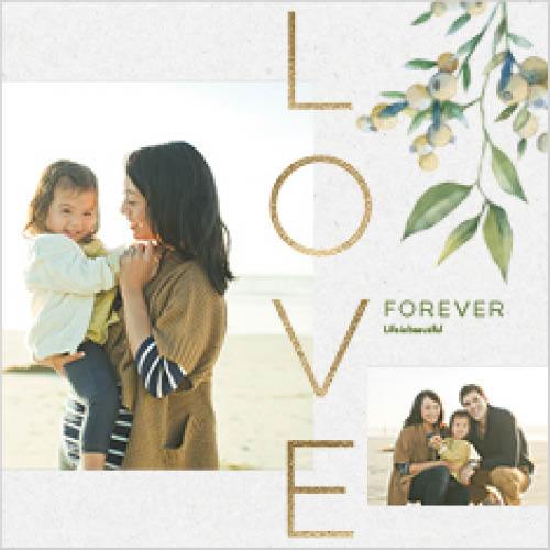 Classic Greenery 12x12 undefined  Premium Album