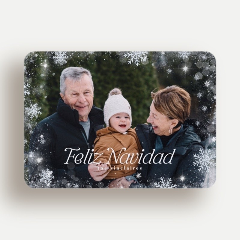 Falling Snowflakes