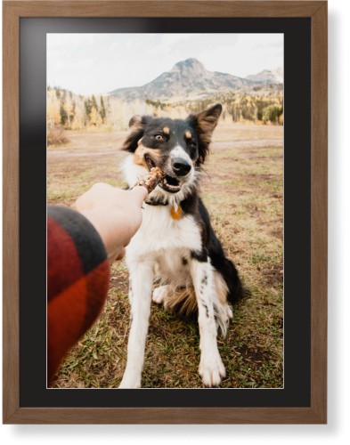 Pet Photo Gallery