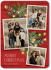 Festive Photos